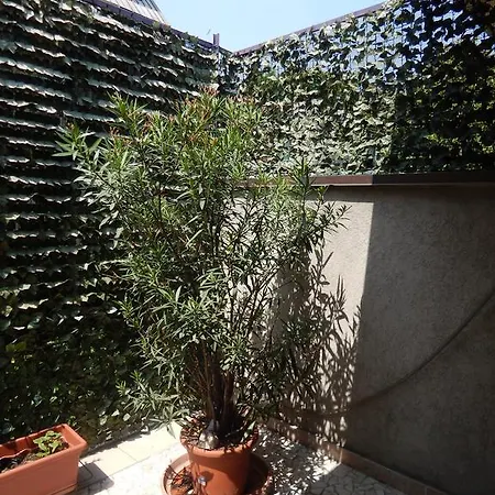 לינה וארוחת בוקר House 4*